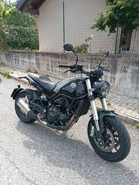 Benelli Leoncino 500
