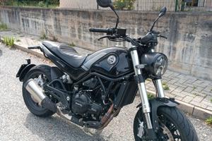Benelli Leoncino 500