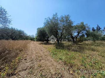 TER. AGRICOLO A CASTEL SANT'ELIA