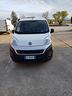 fiat-fiorino-1-4-8v-cng-70cv-cargo-sx