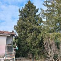 giardinaggio  legna 