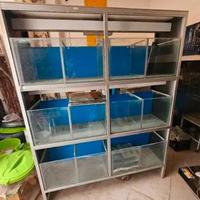 Batteria acquario per pesci a 12 posti