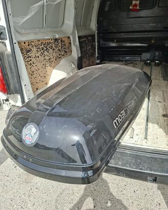 bauele auto 