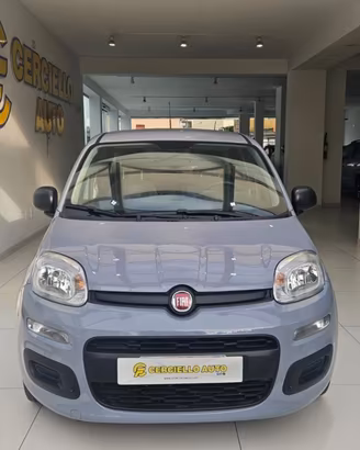 Fiat Panda 1.0 FireFly S&S Hybrid da €119,00 mensi
