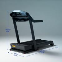 Tapirulan elettrico.