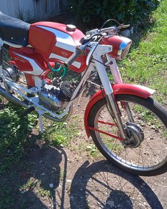 Testi gran prix 48 sport 