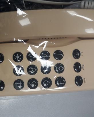 telefono fisso vintage 