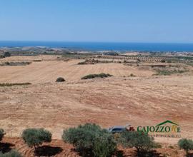 Menfi: terreno agricolo 41000 mq