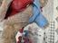 Immagine 2