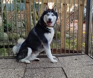 Zeus