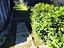 Immagine 27