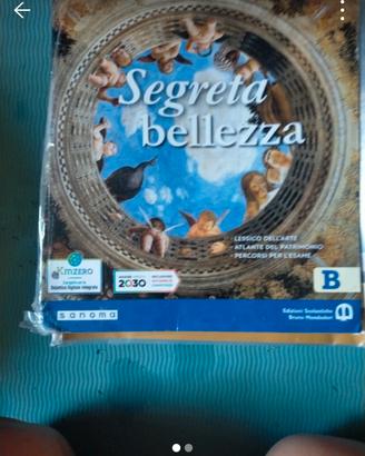 Segreta bellezza, scuola secondaria 