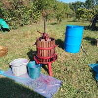 Torchio manuale e diraspatrice per uva