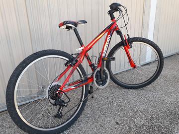 Bicicletta