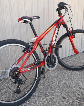 Bicicletta