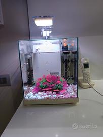 acquario