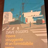 Libro D.Eggers, Opera struggente di un formidabile