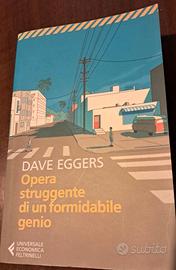 Libro D.Eggers, Opera struggente di un formidabile