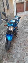 Suzuki banditi 06