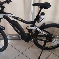 ebike biammortizzata