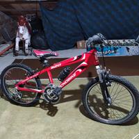 Mountain bike bici bambino/a