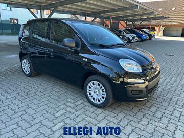 FIAT Panda 1.0 HYBRID ICON KM 0