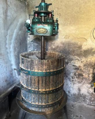 Torchio uva zambelli