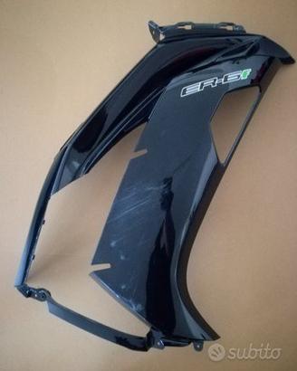 Carena Kawasaki ER 6F