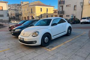 Volkswagen maggiolino 1.6 tdi