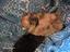 Immagine 5