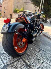 Harley davidson custom V-ROD NIGHT ROD