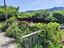 Immagine 25