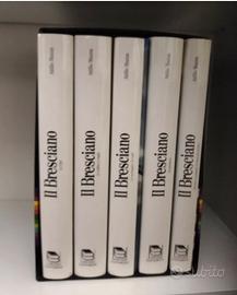 Enciclopedia Il bresciano