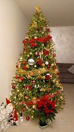  albero  forestah 2,70 diametro circa 1 60 