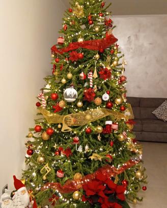  albero  forestah 2,70 diametro circa 1 60 