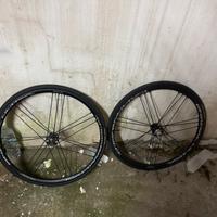 Ruote campagnolo shamal