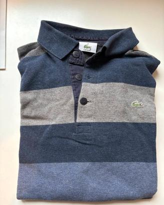 Polo uomo Lacoste originale
