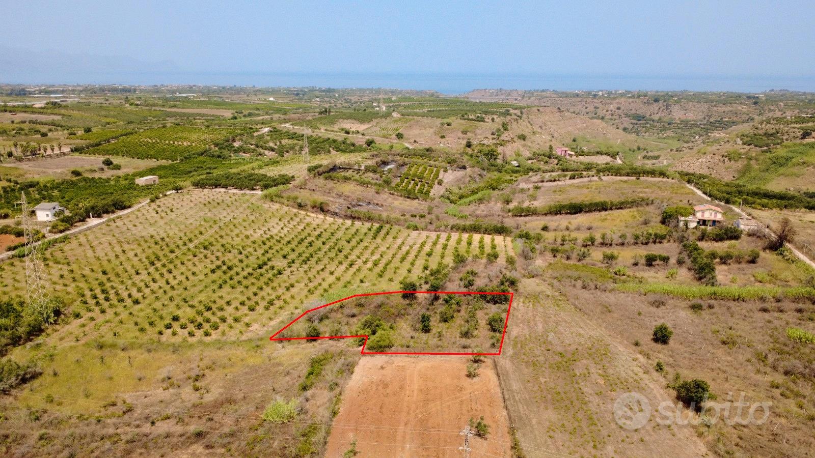 Terreno agricolo a Partinico, Contrada Cannizzaro - Altro