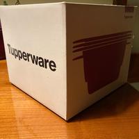 Micro urban millennial tupperware