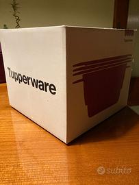 Micro urban millennial tupperware