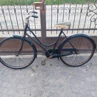 Qbici da donna freni a bacchetta