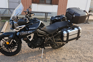 Triumph tiger 800 2019
