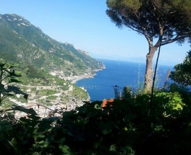 Terreno a richiesta anche un appartamento