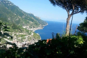 Terreno a richiesta anche un appartamento