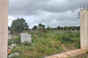 1 km dal mare 