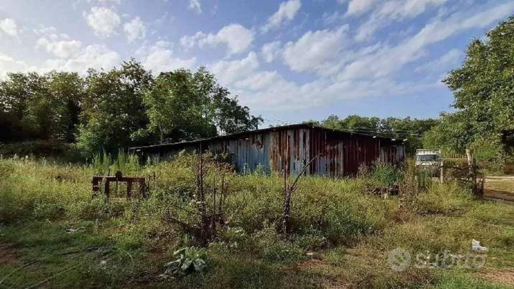 Immobile in asta di 403360 m² a Cittanova - Vista 3
