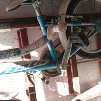 Bicicletta Atala Teddy girl vintage.