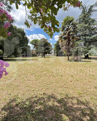 Villa singola Correzzola [0630262940VRG]