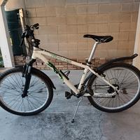 Bici Mountain Bike Daytona