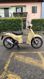 Scarabero 50